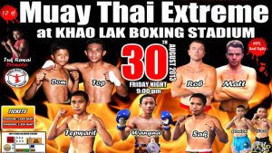 muay thai poster